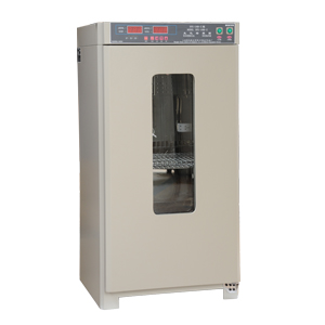 MJX-250B-Z霉菌培养箱