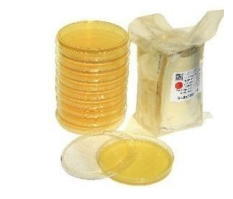 平板（成品培养基）